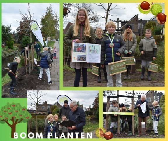 boom planten.jpg